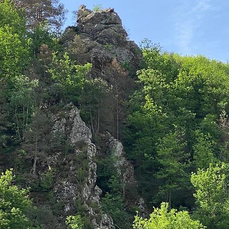 Duplex Roca Del Sucut Διαμέρισμα Ribes De Freser Εξωτερικό φωτογραφία