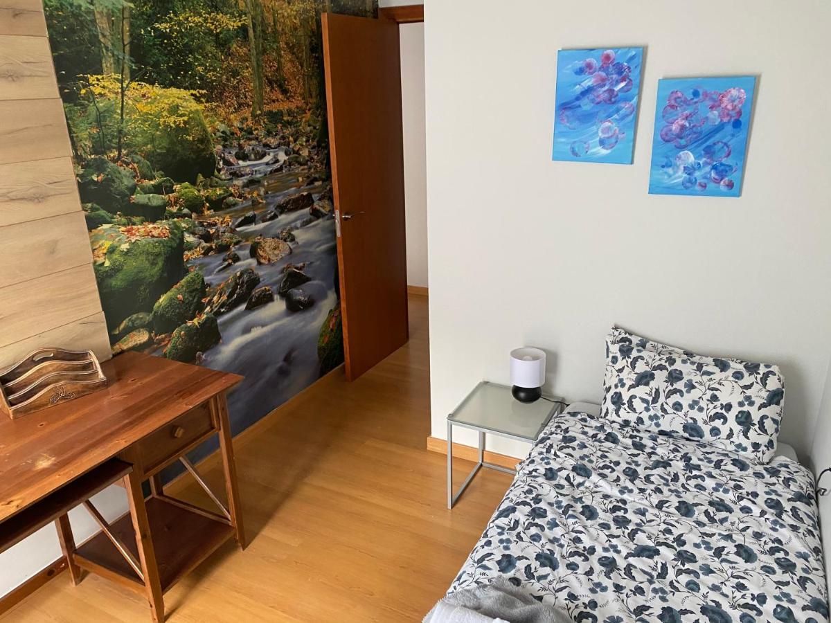 Duplex Roca Del Sucut Διαμέρισμα Ribes De Freser Εξωτερικό φωτογραφία