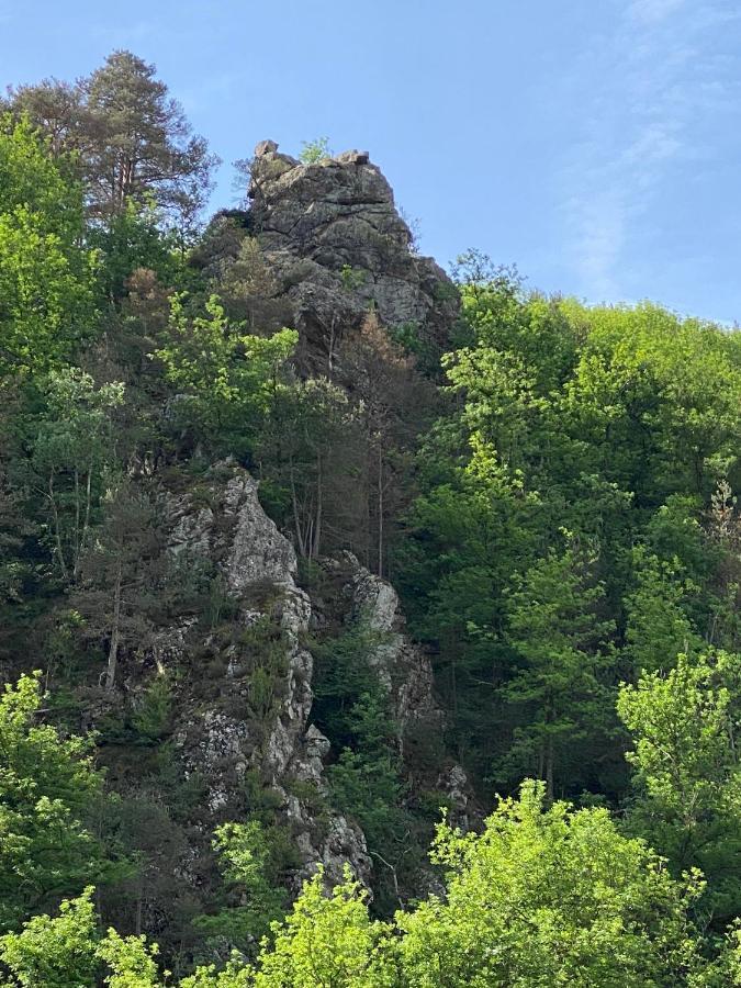 Duplex Roca Del Sucut Διαμέρισμα Ribes De Freser Εξωτερικό φωτογραφία